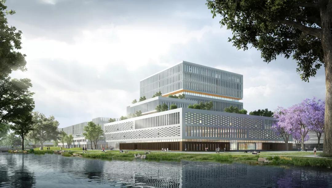 浦东建设股票行情，时代印记与股市脉搏同步共振