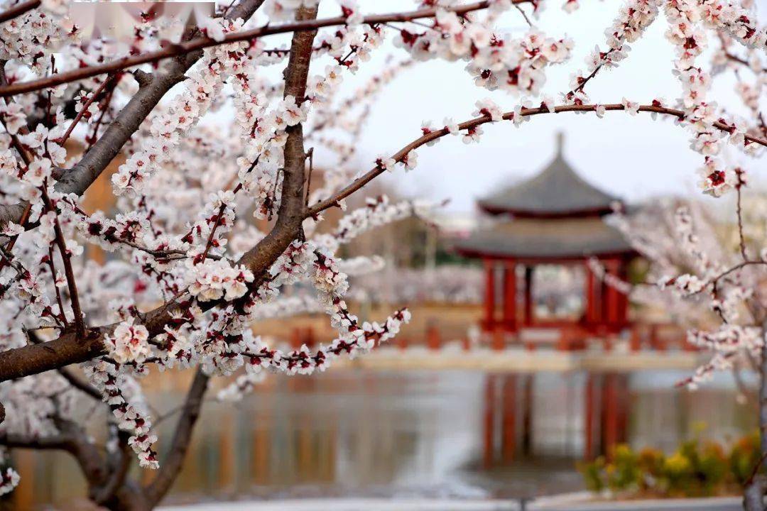 温馨涧水河，揭秘2017涧水河项目最新动态与奇妙旅程